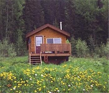 Hotel Bear Corner Adventures Bed & Bale Golden Exterior foto